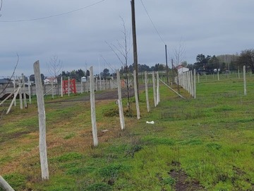 Venta / Terreno / Chillán