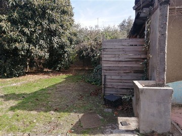 Imagen 7