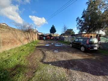 Imagen 11