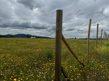 Venta / Terreno / Chillán