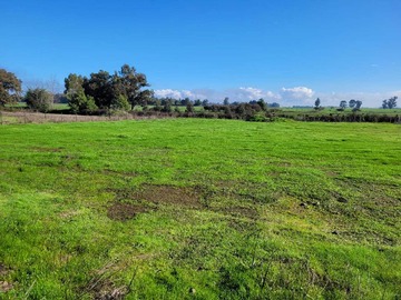 Venta / Terreno / Chillán