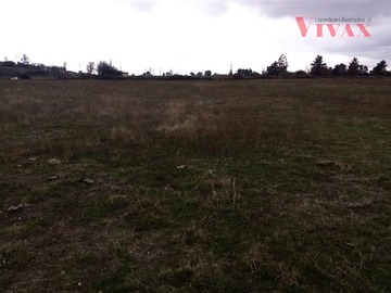 Imagen 17