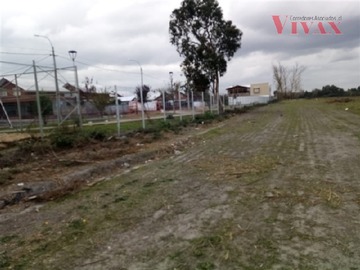 Imagen 19