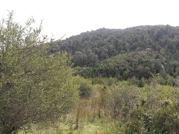 Venta / Terreno / Chonchi