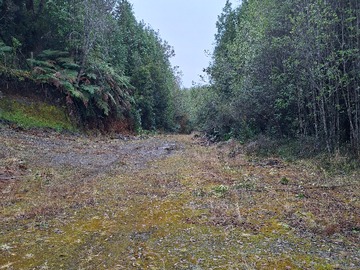 Camino Parcela P80