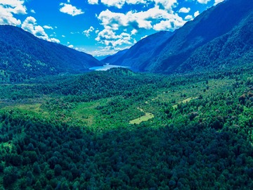 Venta / Terreno / Cisnes