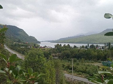 Venta / Terreno / Cisnes