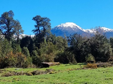 Venta / Terreno / Cisnes