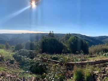 Venta / Terreno / Cobquecura