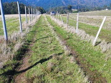 Venta / Terreno / Cobquecura