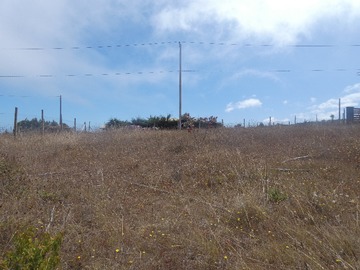 Imagen 5