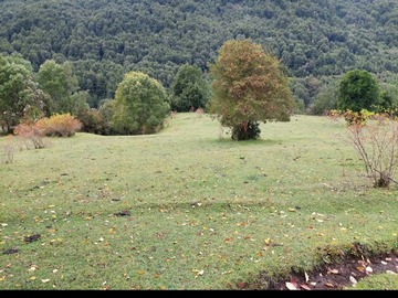 Venta / Terreno / Cochamó