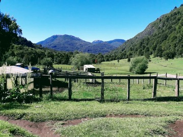 Venta / Terreno / Cochamó