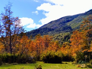 Venta / Terreno / Cochamó