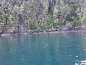 Imagen 3