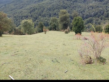 Imagen 8