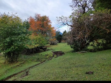 Imagen 6