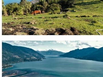 Venta / Terreno / Cochamó
