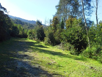 Imagen 9