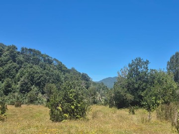 Venta / Terreno / Cochamó