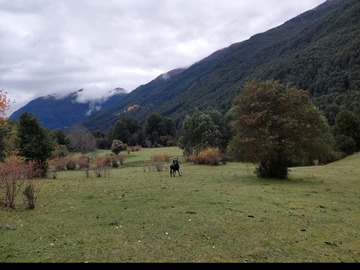 Imagen 7