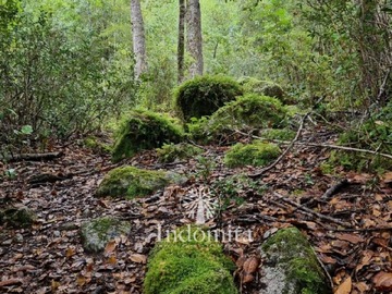Venta / Terreno / Cochamó