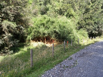 Venta / Terreno / Cochamó