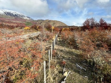 Carretera