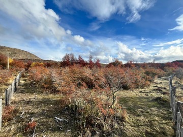 Venta / Terreno / Cochrane