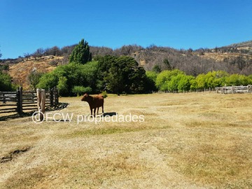 Venta / Terreno / Cochrane