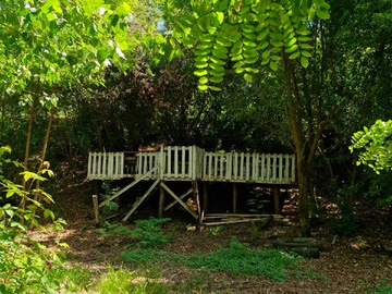 Venta / Terreno / Coihueco