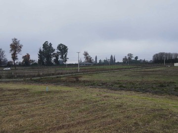 Venta / Terreno / Coihueco