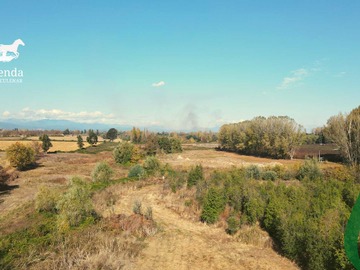 Imagen 7
