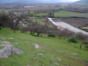 Imagen 5