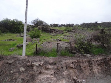 Imagen 10