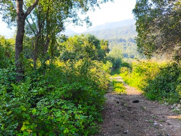 Camino estabilizado apto para todo vehículo