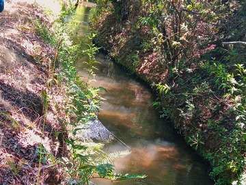 Canal de regadío que cruza el predio