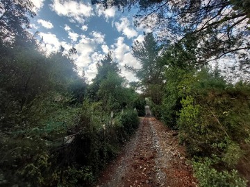 Venta / Terreno / Colbún