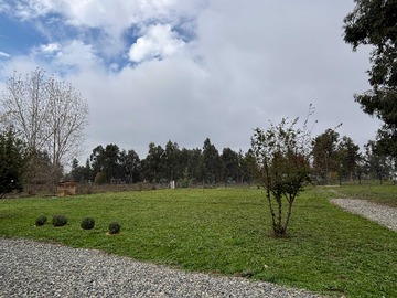 Imagen 12