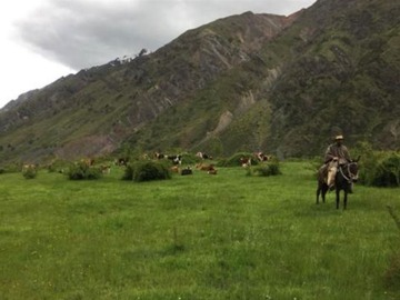 Venta / Terreno / Colbún