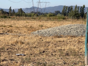 Imagen 5