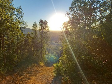 Senderos en el cerro