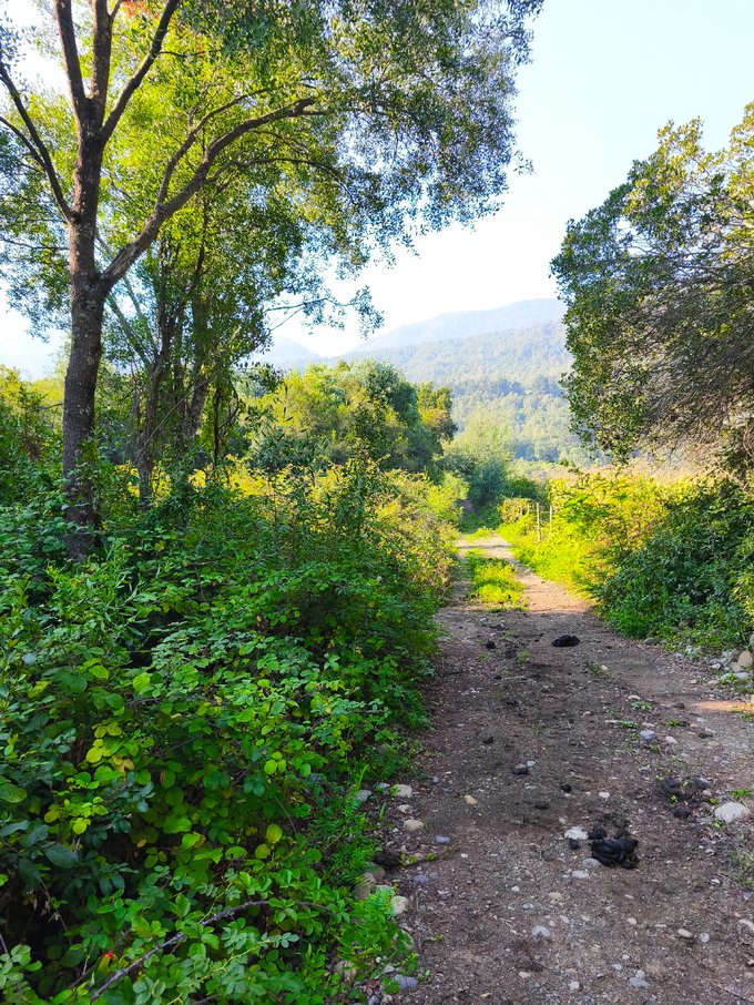 Camino estabilizado apto para todo vehículo