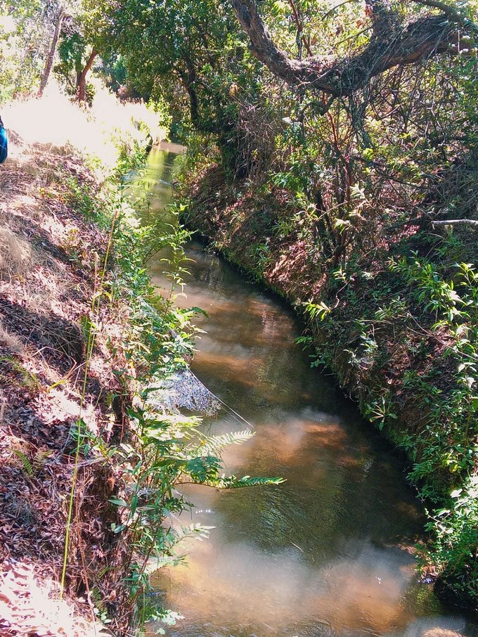 Canal de regadío que cruza el predio