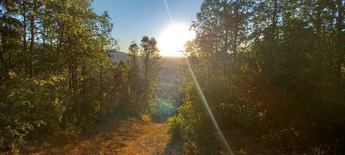 Senderos en el cerro