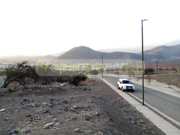 Imagen 10