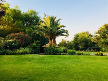 Venta / Terreno / Colina