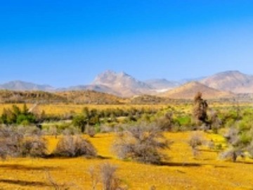 Imagen 6