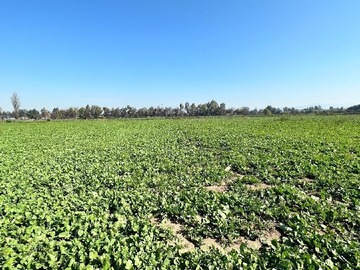 Venta / Terreno / Colina