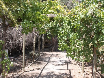 Venta / Terreno / Colina